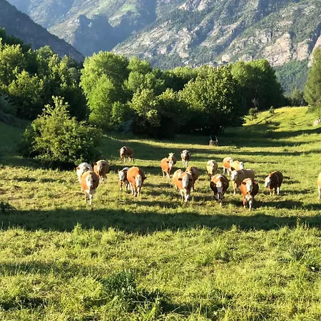 アパート Casa Lavedan トラマカスティリャ・デ・テナ
